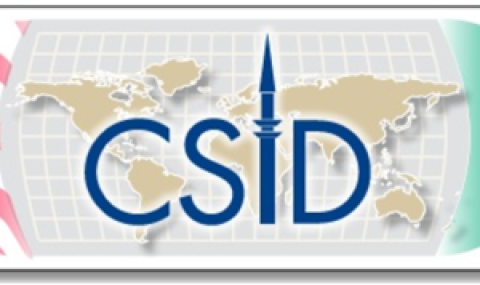 CSID 15th Annual Conference: Egypt Derailed Transition